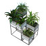 Doniczki Plant in Box Set 081 - unisjamavari