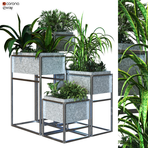 Doniczki Plant in Box Set 081 model 3D