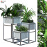 Doniczki Plant in Box Set 081 - unisjamavari