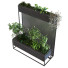 Macetas Planta en caja conjunto 082 - unisjamavari