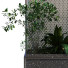 Macetas Planta en caja conjunto 082 - unisjamavari