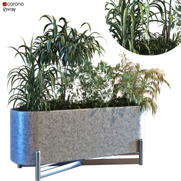 Doniczka  Plant in Box Set 083 Model 3D