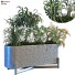 Maceta Planta en caja conjunto 083 - unisjamavari