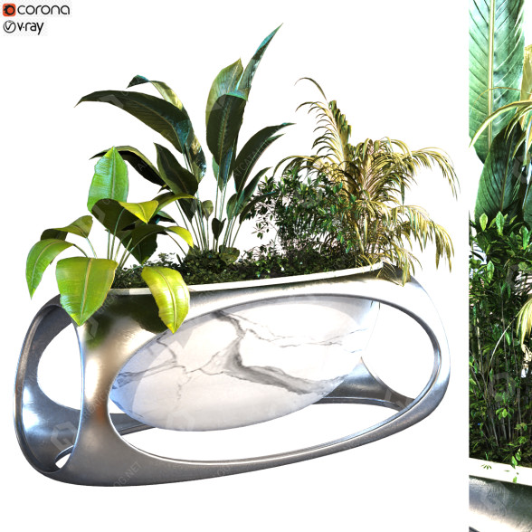 Maceta Planta en caja conjunto 101 Modelo 3D