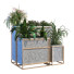 Macetas Planta en caja conjunto 084 - unisjamavari