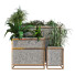 Macetas Planta en caja conjunto 084 - unisjamavari