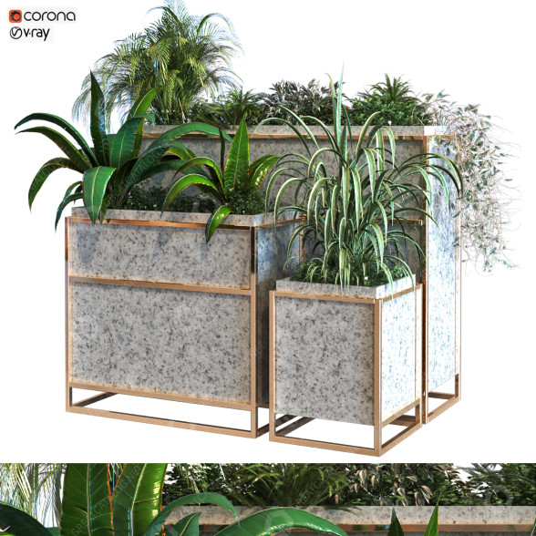 Macetas Planta en caja conjunto 084 Modelo 3D