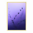 Pictures Wall Frame 347 - farnaz3dsky