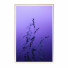 Pictures Wall Frame 347 - farnaz3dsky