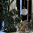 Decoración Set 096 - unisjamavari