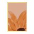 Pictures Wall Frame 358 - farnaz3dsky