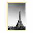 Pictures Wall Frame 363 - farnaz3dsky