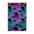 Картини Wall Frame 377 - farnaz3dsky