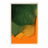 Картины Wall Frame 329 - farnaz3dsky
