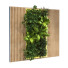 Pared verde Conjunto 087 - unisjamavari
