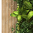 Pared verde Conjunto 087 - unisjamavari