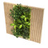 Pared verde Conjunto 087 - unisjamavari