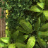 Pared verde Conjunto 087 - unisjamavari