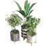 Macetas Planta en caja conjunto 089 - unisjamavari