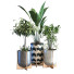 Macetas Planta en caja conjunto 089 - unisjamavari