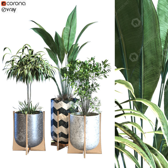 Macetas Planta en caja conjunto 089 Modelo 3D