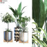 Macetas Planta en caja conjunto 089 - unisjamavari