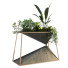 Maceta Planta en caja conjunto 091 - unisjamavari