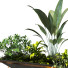 Maceta Planta en caja conjunto 091 - unisjamavari
