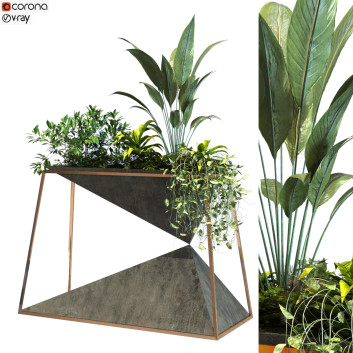 Maceta  Planta en caja conjunto 091  Modelo 3D