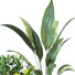 Maceta Planta en caja conjunto 091 - unisjamavari