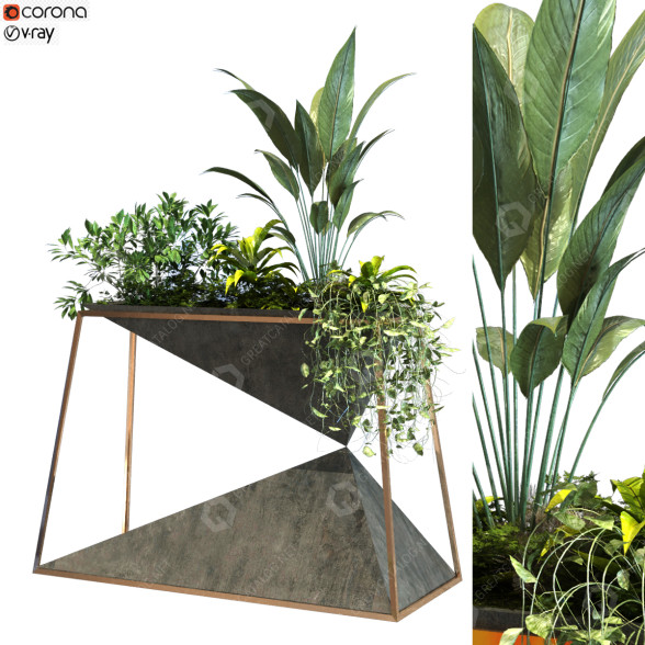 Maceta Planta en caja conjunto 091 Modelo 3D