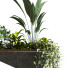 Maceta Planta en caja conjunto 091 - unisjamavari