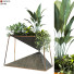 Maceta Planta en caja conjunto 091 - unisjamavari