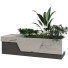 Maceta Planta en caja conjunto 095 - unisjamavari