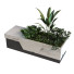 Maceta Planta en caja conjunto 095 - unisjamavari