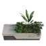 Maceta Planta en caja conjunto 095 - unisjamavari