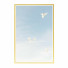 Pictures Wall Frame 381 - farnaz3dsky