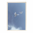 Pictures Wall Frame 381 - farnaz3dsky