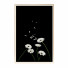 Pictures Wall Frame 391 - farnaz3dsky
