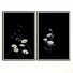 Pictures Wall Frame 391 - farnaz3dsky