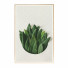 Картини Wall Frame 429 - farnaz3dsky