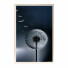 Картини Wall Frame 430 - farnaz3dsky