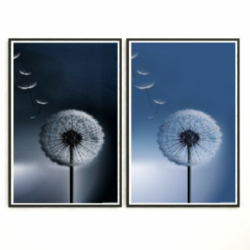 Картини Wall Frame 430