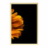 Photos Wall Frame 431 - farnaz3dsky