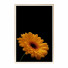 Photos Wall Frame 431 - farnaz3dsky