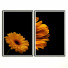 Photos Wall Frame 431 - farnaz3dsky