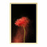 Картины Wall Frame 434 - farnaz3dsky