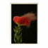 Картины Wall Frame 434 - farnaz3dsky