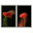 Картины Wall Frame 434 - farnaz3dsky