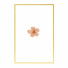 Картины Wall Frame 435 - farnaz3dsky